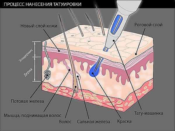 Иллюстрация 2 из исходной статьи о татуировках